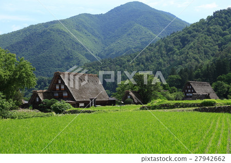 初夏的世界遺產飛驒白川鄉 27942662