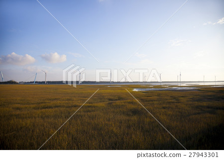 高美溼地,Taiwan, Taichung, high US wetlands,Gaomeiの湿地 高美溼地,Taiwan, Taichung, high US wetlands,Gaomeiの湿地 27943301