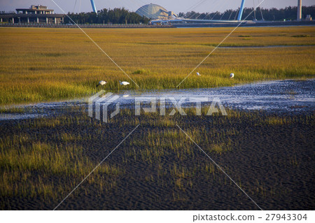 Gaomei Wetland, Taiwan, Taichung, high US wetlands, Gaomei wetland Gaomei Wetland, Taiwan, Taichung, high US wetlands, Gaomei wetland 27943304