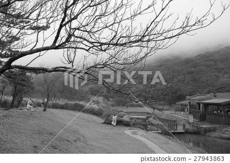 陽明山,菊林,二子坪,陽明山,二子坪,陽明山,二子樓, 陽明山,菊林,二子坪,陽明山,二子坪,陽明山,二子樓, 27943863