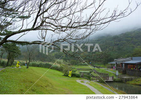 陽明山,菊林,二子坪,陽明山,二子坪,陽明山,二子樓, 陽明山,菊林,二子坪,陽明山,二子坪,陽明山,二子樓, 27943864