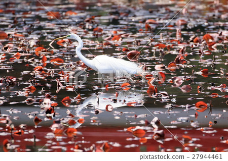 Daisuke of Iwatsuki castle ruins park 27944461