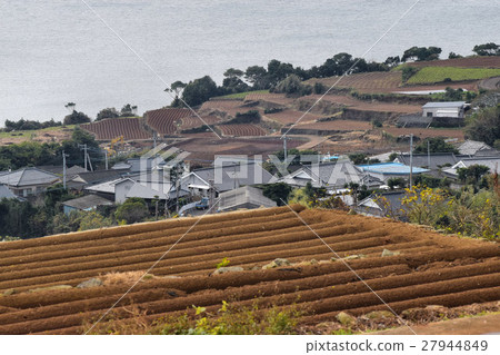 長島的梯田 27944849