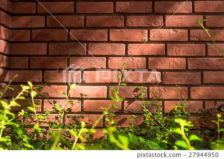 The Old Brick Wall 27944950