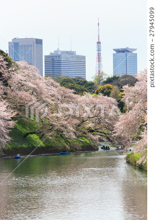 Chidorigafuchi park during the spring season. Chidorigafuchi park during the spring season. 27945099
