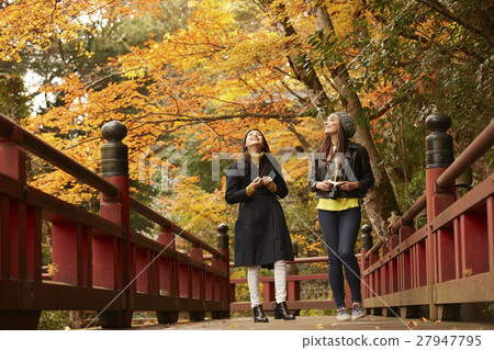Women enjoying autumn leaves 27947795