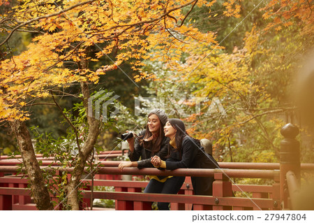 Foreign women and Japanese women making autumn leaves 27947804
