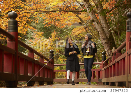 Foreign women and Japanese women making autumn leaves 27947833