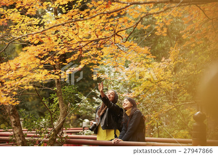 Foreign women and Japanese women making autumn leaves 27947866