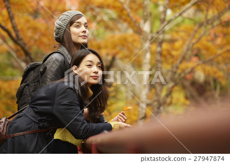 Foreign women who do foliage leaves and Japanese women's observation deck Foreign women who do foliage leaves and Japanese women's observation deck 27947874
