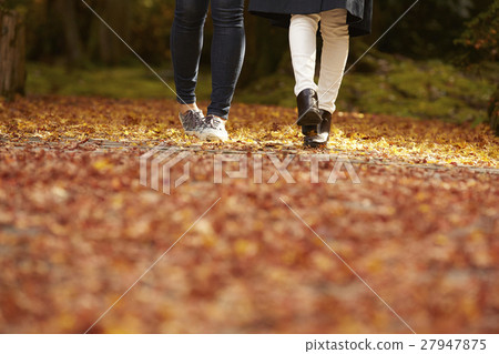 Women enjoying autumn leaves 27947875