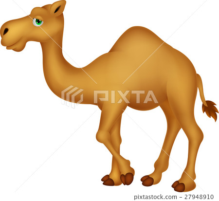 Cute camel cartoon character Cute camel cartoon character 27948910