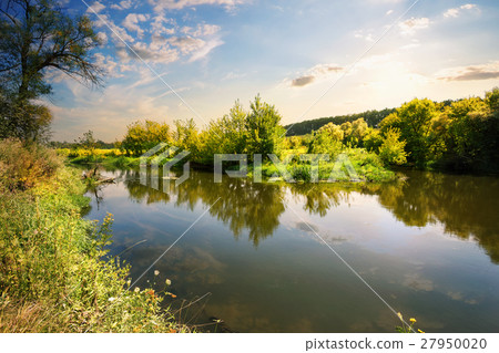 River with trees on the beach 27950020