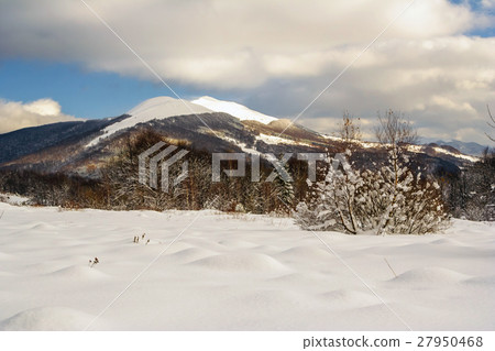 Winter mountain scenery in Bieszczady mountains Winter mountain scenery in Bieszczady mountains 27950468