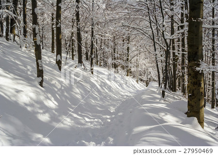 Winter mountain scenery in Bieszczady mountains Winter mountain scenery in Bieszczady mountains 27950469