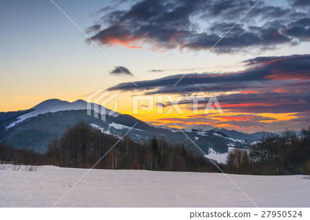 Beautiful winter landscape in the mountains 27950524