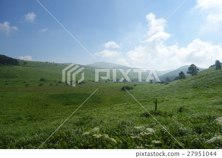 夏季高原 夏季高原 27951044
