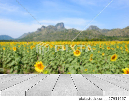 Empty wood table and Landscape background Empty wood table and Landscape background 27951667