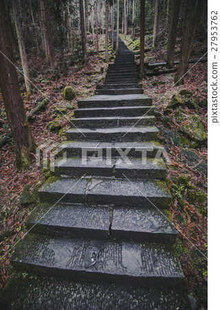 Stairs in a tropical forest in Asia Stairs in a tropical forest in Asia 27953762