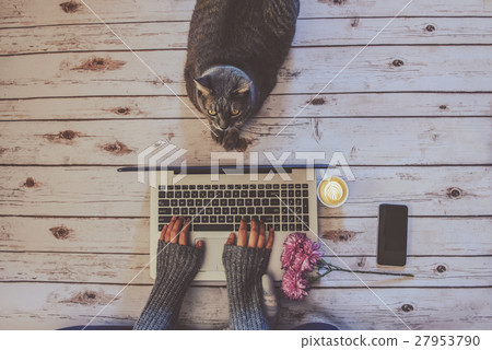 Girl with a cat working at home. Girl with a cat working at home. 27953790