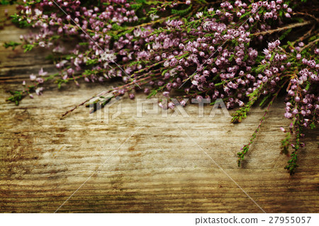 Retro styled background with flowers Retro styled background with flowers 27955057