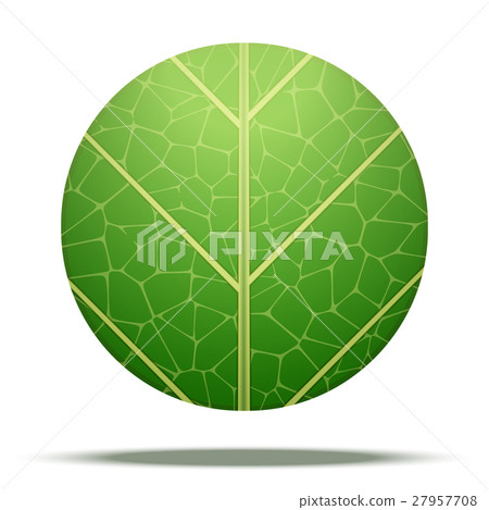 Leaves round Icon Vector - Stock Illustration [27957708] - PIXTA