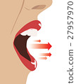 Woman red lips are open mouth  27957970