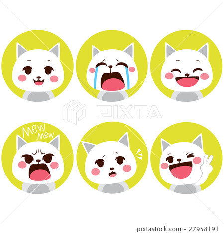 Cat Expressions Cat Expressions 27958191
