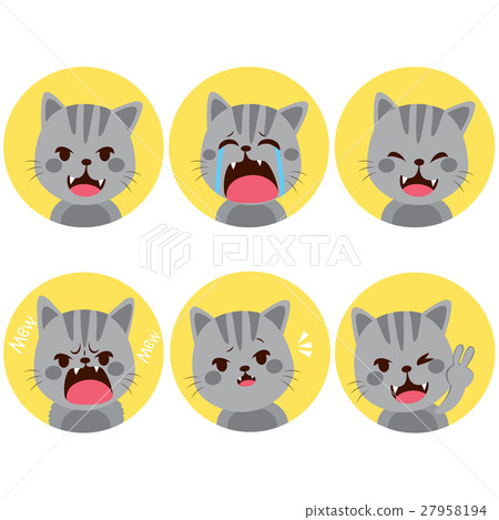 Cat Expressions 27958194