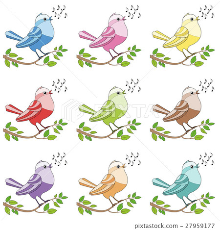 Songbirds Colorful Singing Birds 27959177