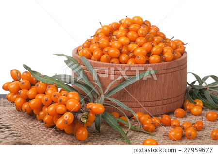 Sea-buckthorn berries in a wooden bowl on table Sea-buckthorn berries in a wooden bowl on table 27959677