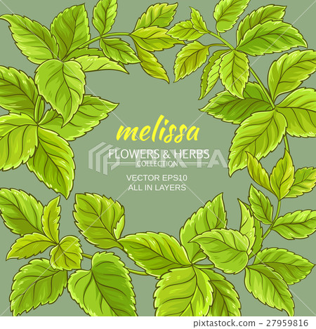 melissa vector frame 27959816