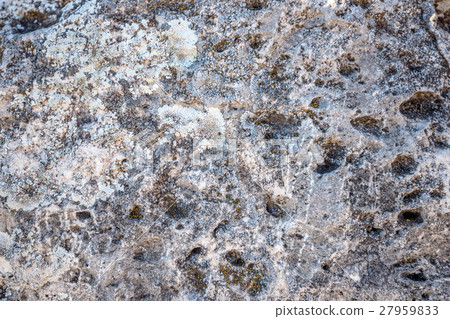 Close-up of stone covered by lichen 27959833