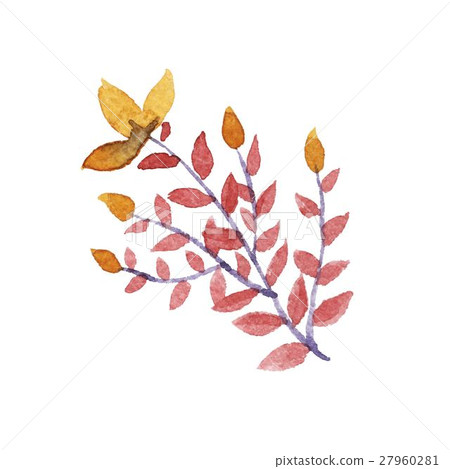 Watercolor floral vector set. 27960281