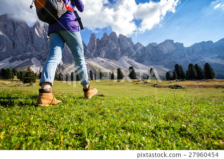 hiking boots 27960454