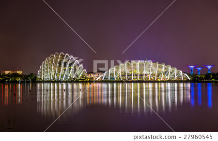 Night view of Gardens by the Bay in Singapore Night view of Gardens by the Bay in Singapore 27960545
