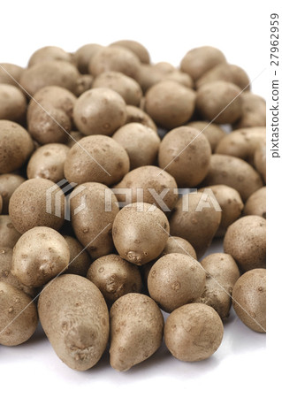 Mukago Zero Remnant 27962959