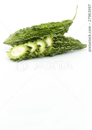 戈雅:印度苦瓜 戈雅:印度苦瓜 27963097