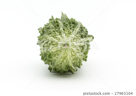 Goya: Indian bitter melon 27963104