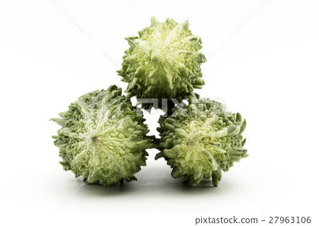 Goya: Indian bitter melon 27963106