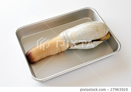 White mill shell 27963928