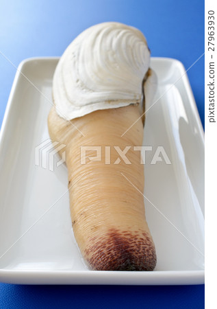 White mill shell 27963930