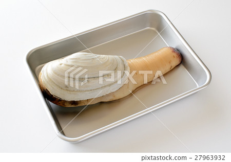 White mill shell 27963932