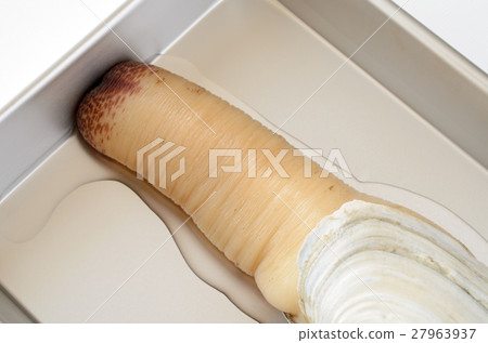 White mill shell 27963937