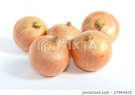Onion (Onion) 27964928