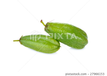 fresh bilimbi fruit or Talingpling (Thai text) 27966153