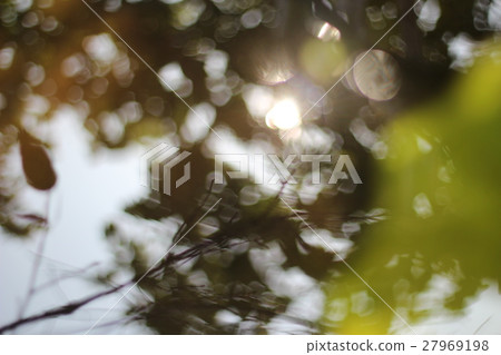 池上光影 27969198