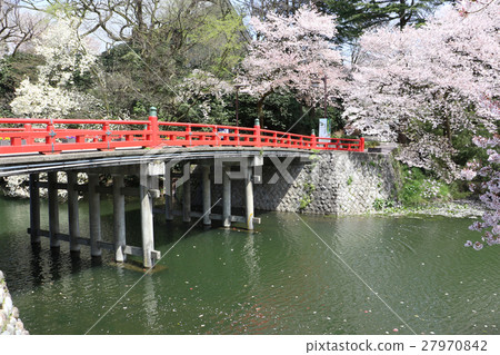 [富山縣]高岡老城堡公園（春天） 27970842