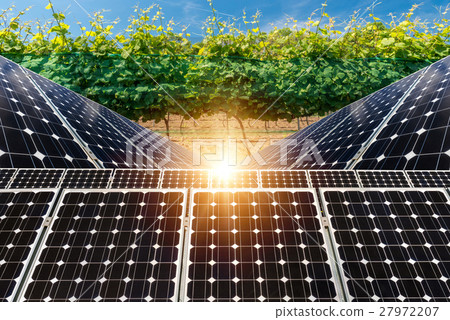 Solar panels against the crops 27972207