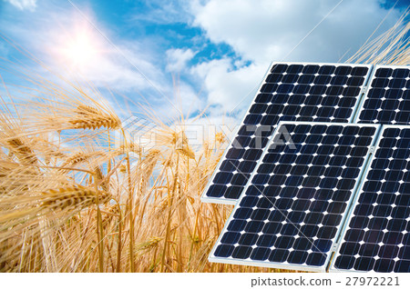 Solar panels against the crops Solar panels against the crops 27972221